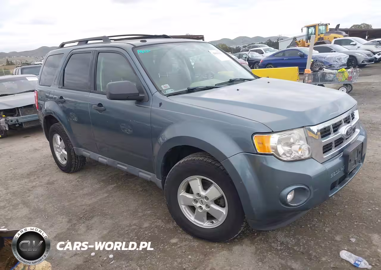 2010 Ford Escape Xlt