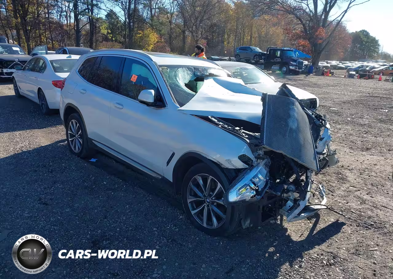 2019 BMW X3 xDrive30I