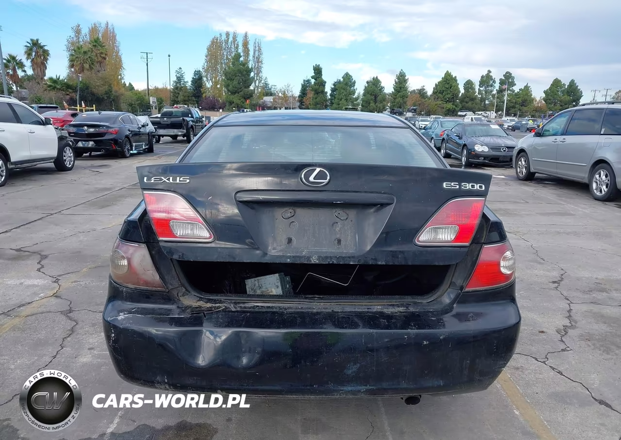 2003 Lexus Es 300 VIN:JTHBF30G135037571 - 17