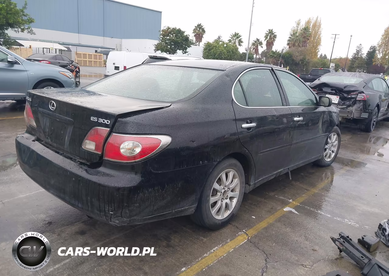 2003 Lexus Es 300 VIN:JTHBF30G135037571 - 4