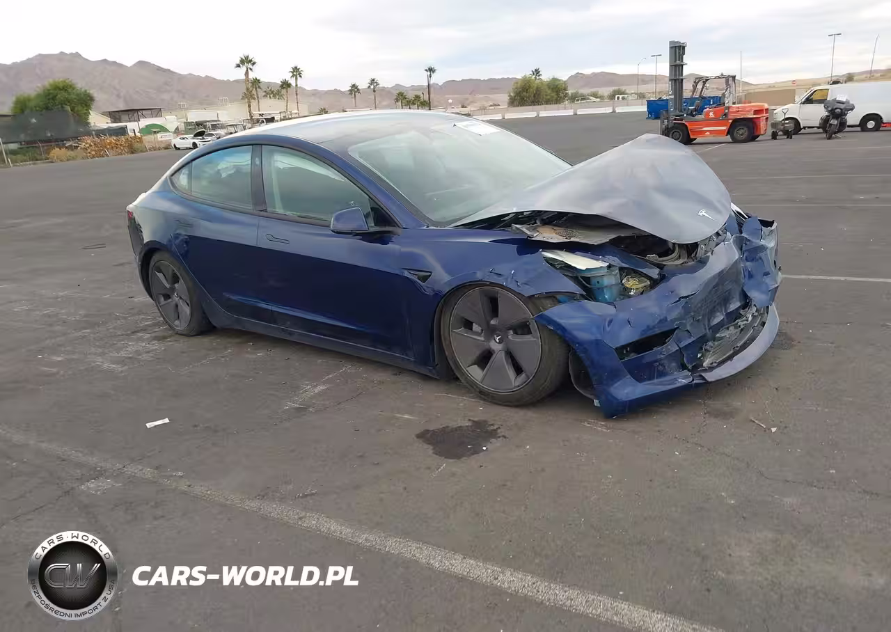 2023 Tesla Model 3 Rear-Wheel Drive