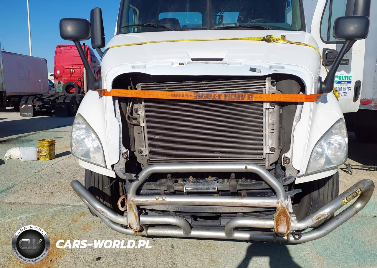 2016 Freightliner Cascadia 113 VIN:3AKJGBDV9GSHK8040 - 11