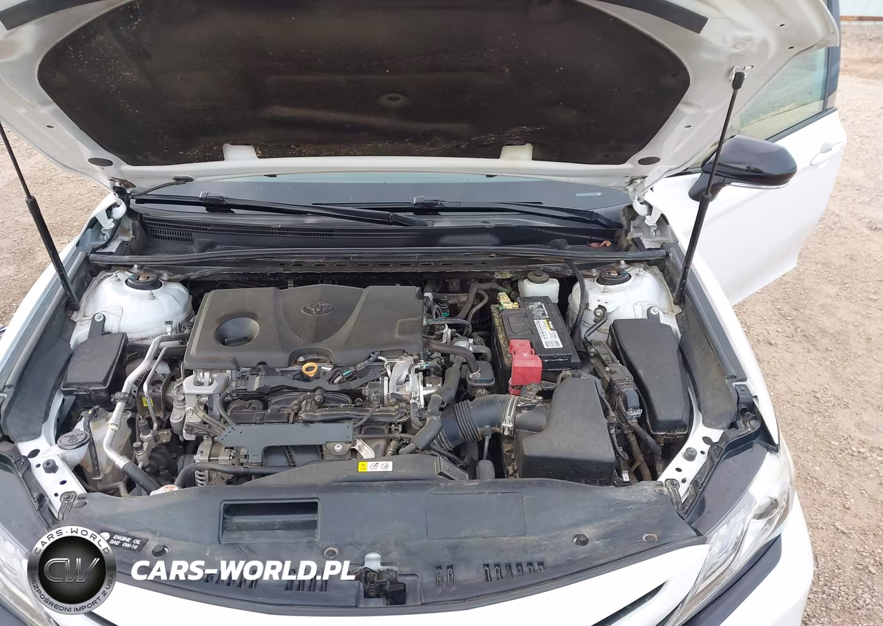 2019 Toyota Camry Xse VIN:4T1B61HK4KU270794 - 10