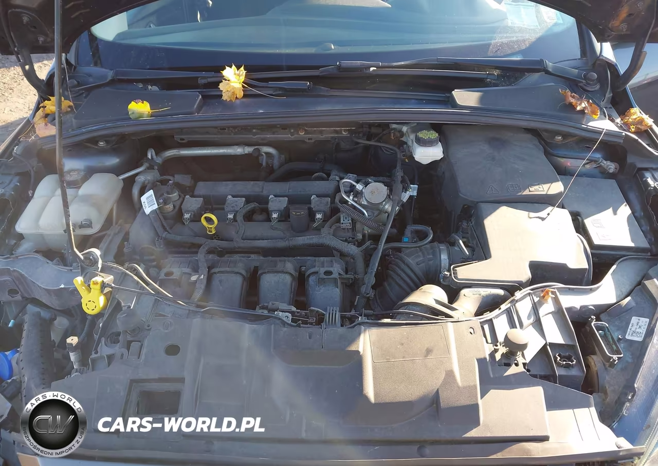 2017 Ford Focus Sel VIN:1FADP3H24HL321995 - 10