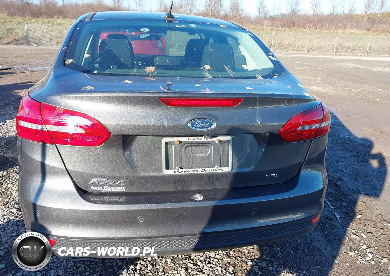 2017 Ford Focus Sel VIN:1FADP3H24HL321995 - 17
