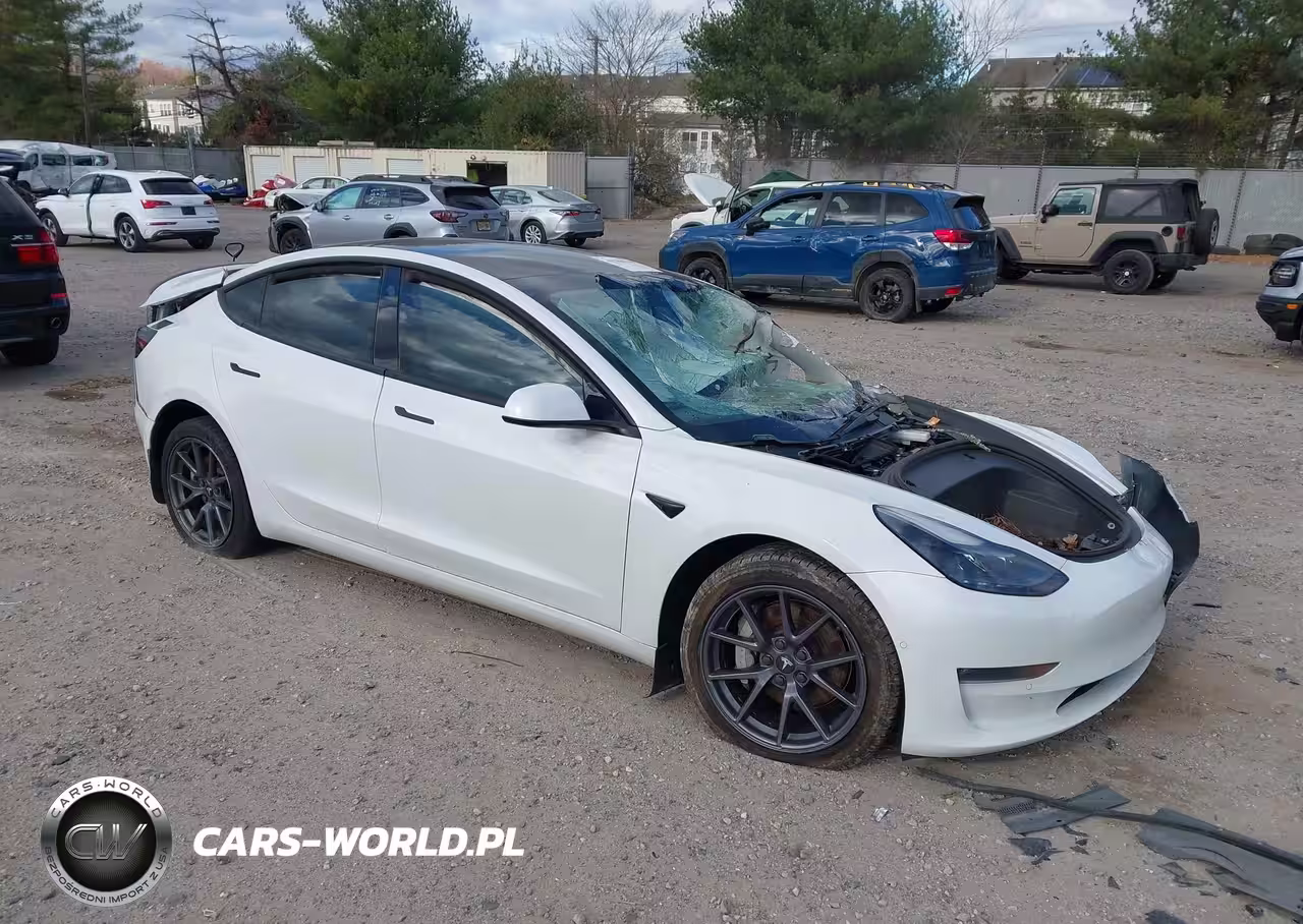 2021 Tesla Model 3 Long Range Dual Motor All-Wheel Drive