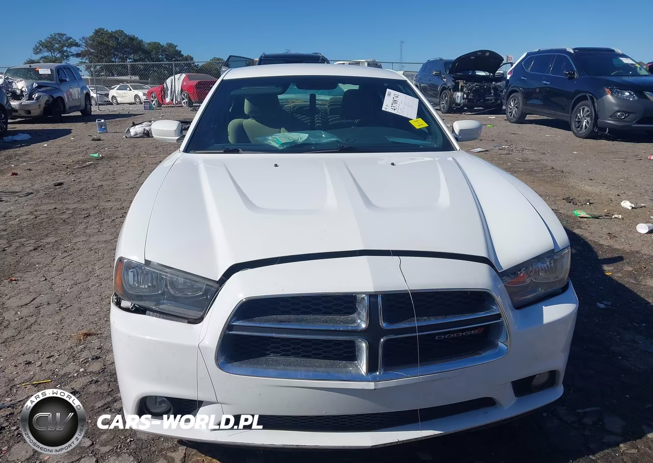 2014 Dodge Charger Sxt VIN:2C3CDXHG0EH104541 - 12