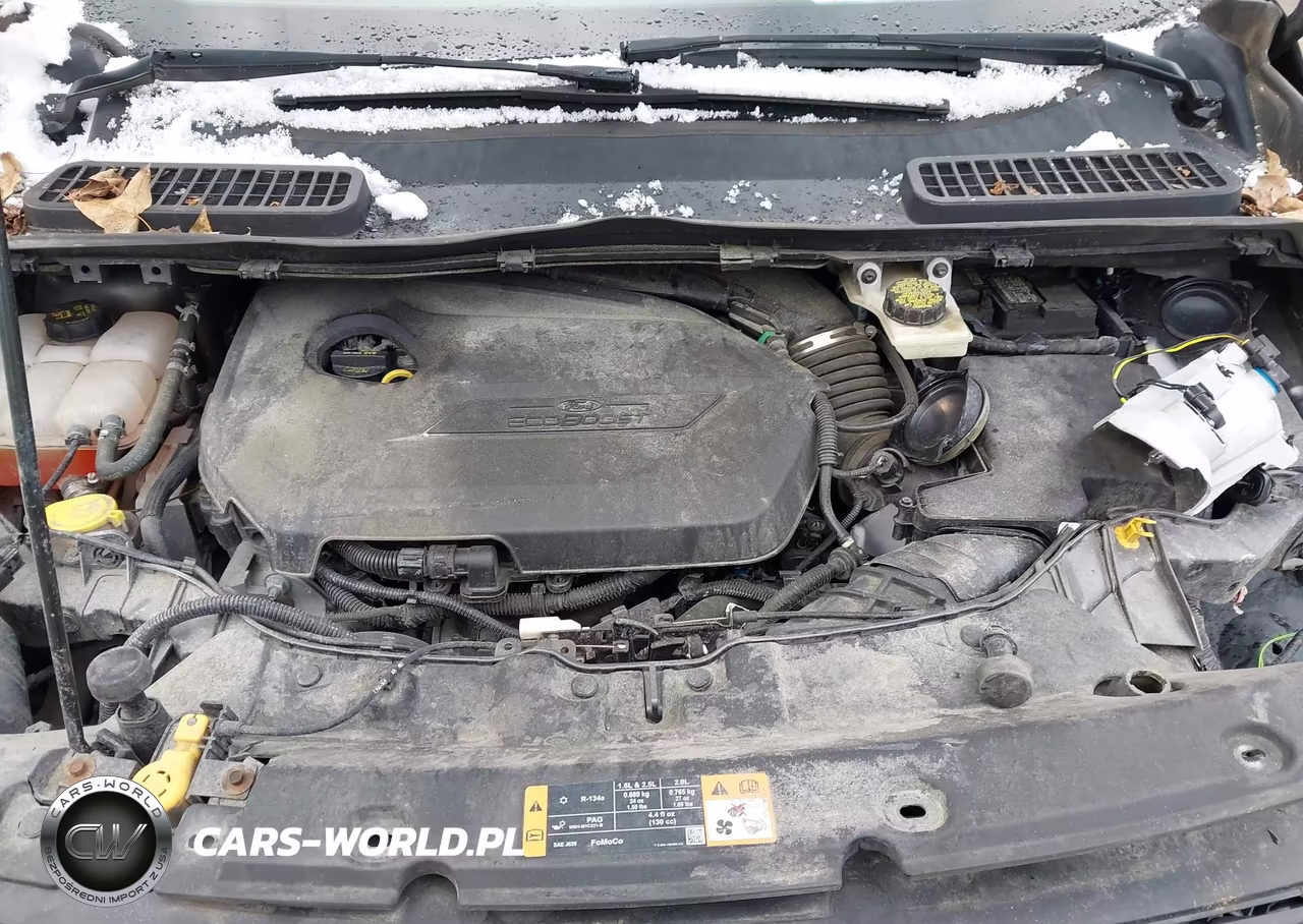 2014 Ford Escape Se VIN:1FMCU9GX0EUB49951 - 10