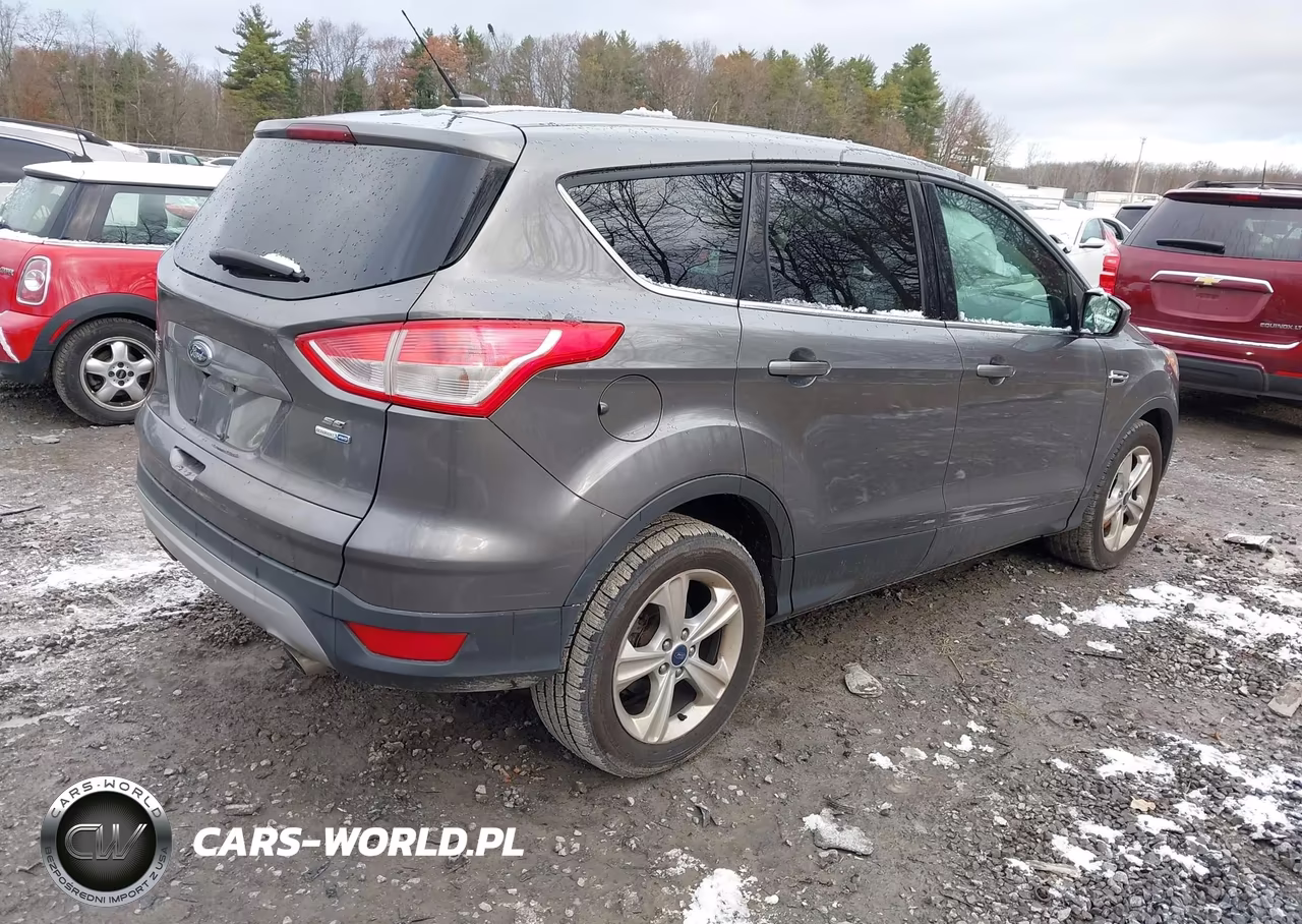 2014 Ford Escape Se VIN:1FMCU9GX0EUB49951 - 4