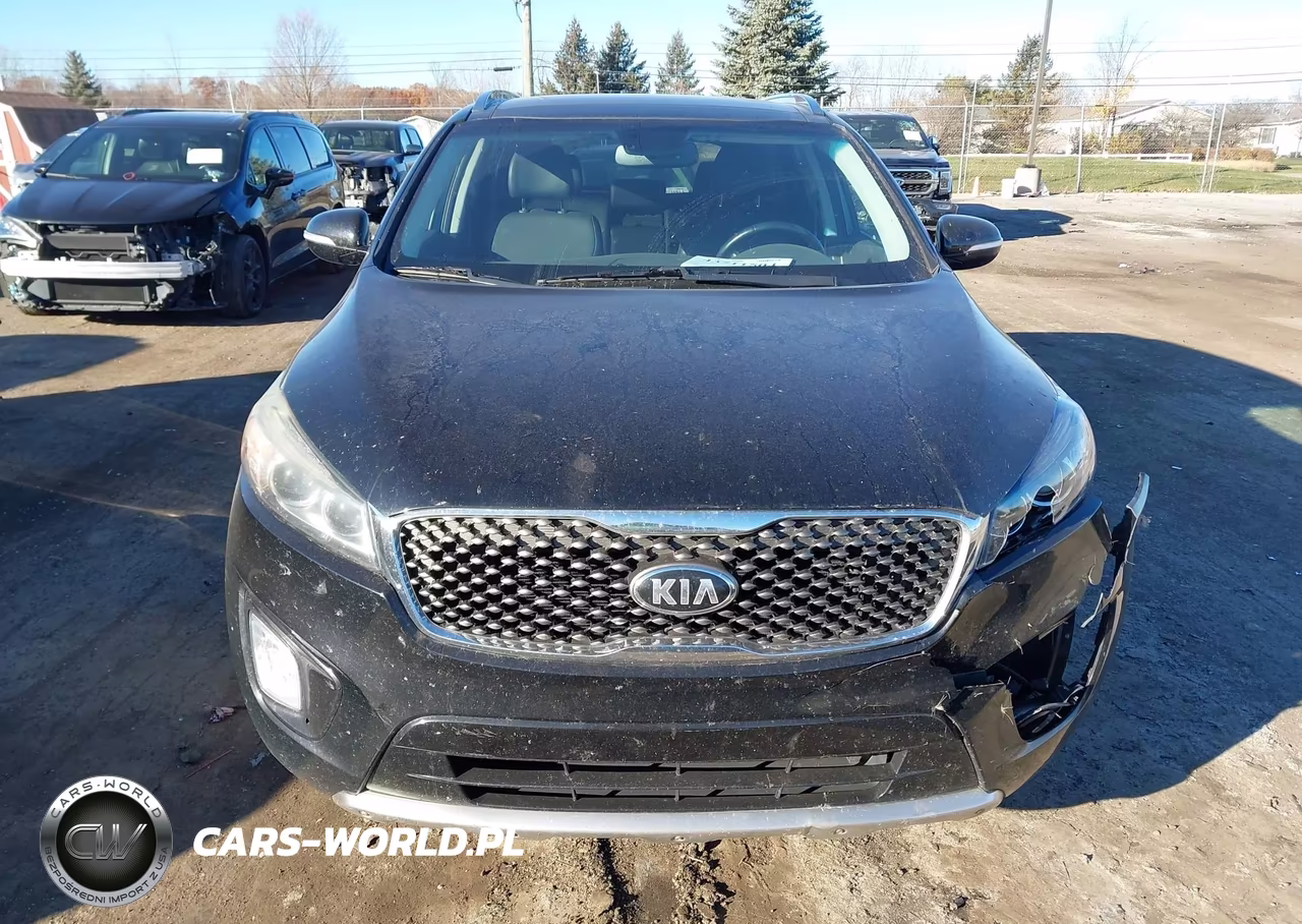 2018 Kia Sorento 3.3L Sx VIN:5XYPKDA58JG384387 - 12