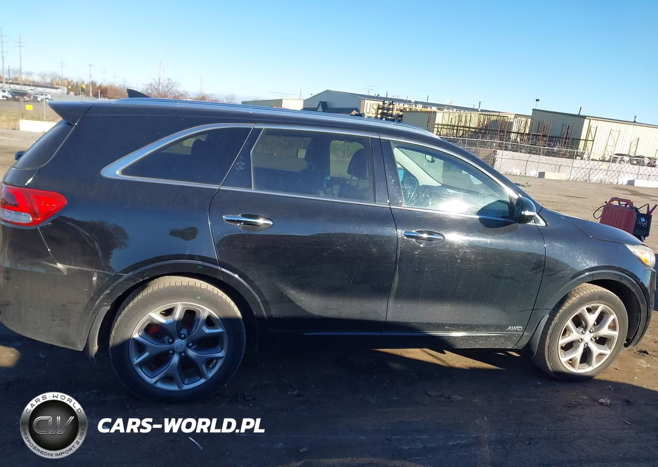 2018 Kia Sorento 3.3L Sx VIN:5XYPKDA58JG384387 - 13