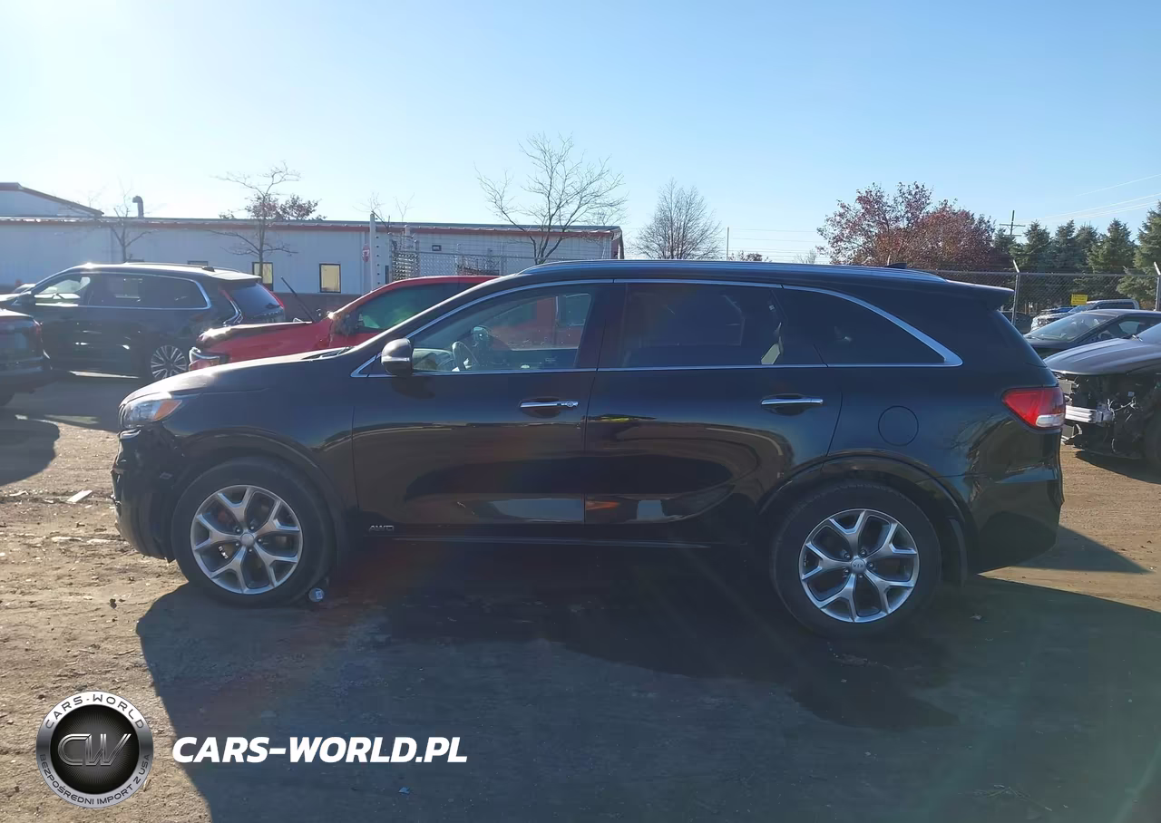 2018 Kia Sorento 3.3L Sx VIN:5XYPKDA58JG384387 - 14
