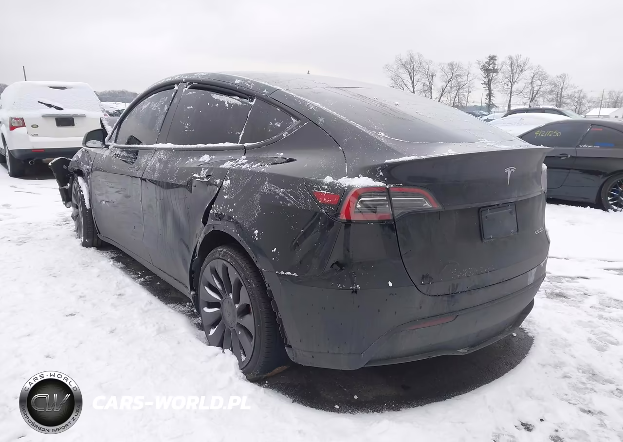 2025 Tesla Model Y Performance Dual Motor All-Wheel Drive VIN:7SAYGDEF2SA338622 - 3