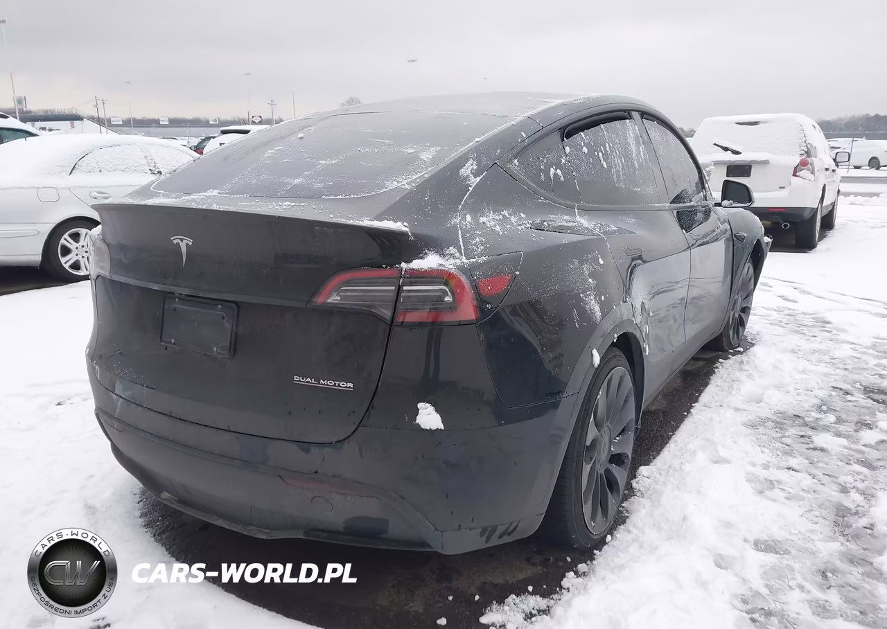 2025 Tesla Model Y Performance Dual Motor All-Wheel Drive VIN:7SAYGDEF2SA338622 - 4