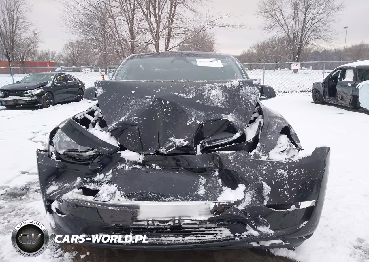 2025 Tesla Model Y Performance Dual Motor All-Wheel Drive VIN:7SAYGDEF2SA338622 - 6
