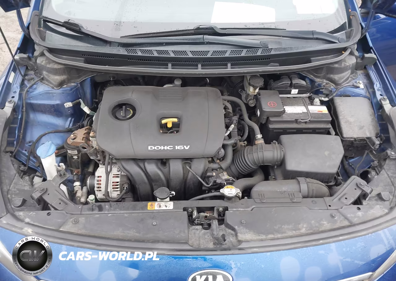 2017 Kia Forte Lx VIN:3KPFK4A71HE041635 - 10