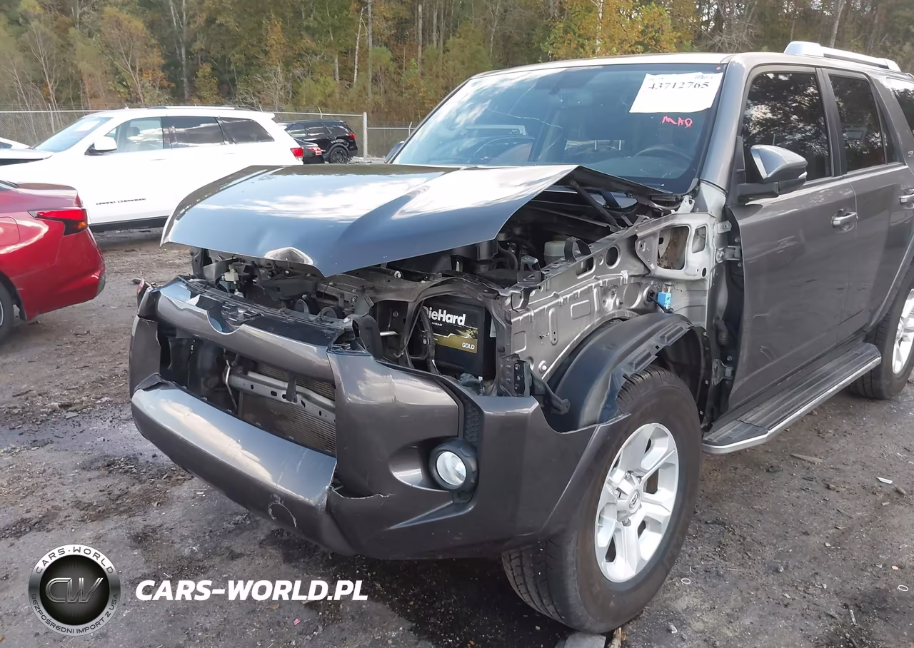 2016 Toyota 4Runner Sr5 Premium VIN:JTEZU5JR0G5139141 - 6