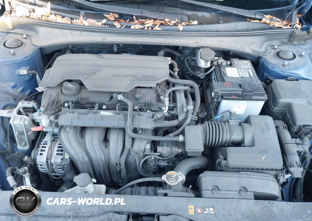 2021 Hyundai Elantra Limited VIN:5NPLP4AG9MH000163 - 10