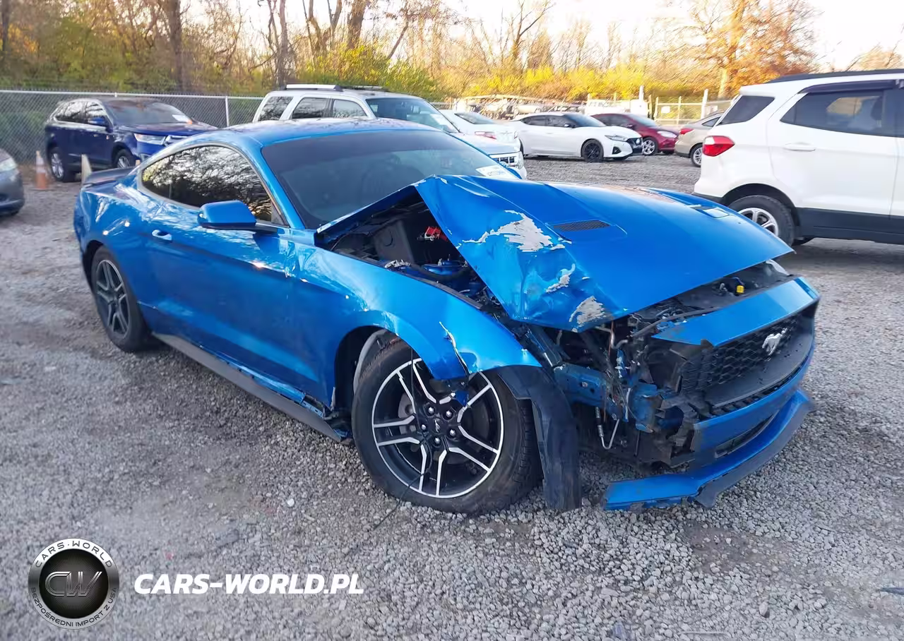 2019 Ford Mustang Ecoboost