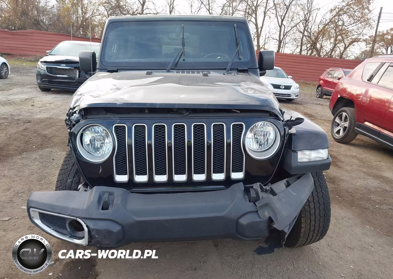 2019 Jeep Wrangler Unlimited Sahara 4X4 VIN:1C4HJXEN1KW620093 - 6