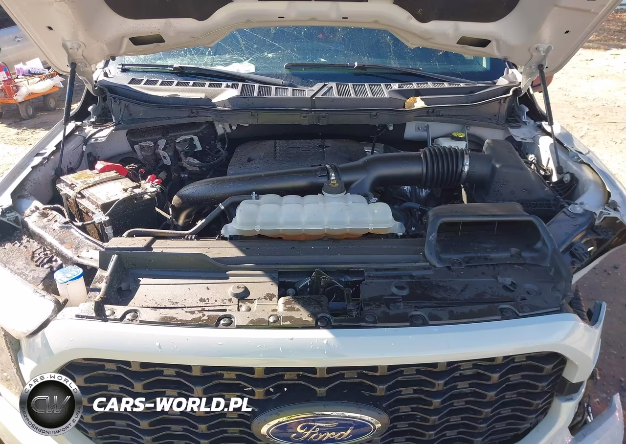 2023 Ford F-150 Xlt VIN:1FTFW1E82PKD90899 - 10