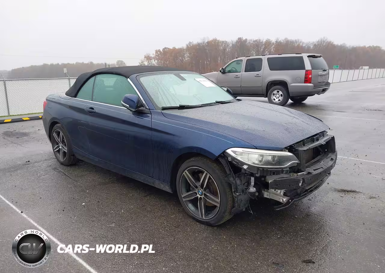 2017 BMW 230I xDrive