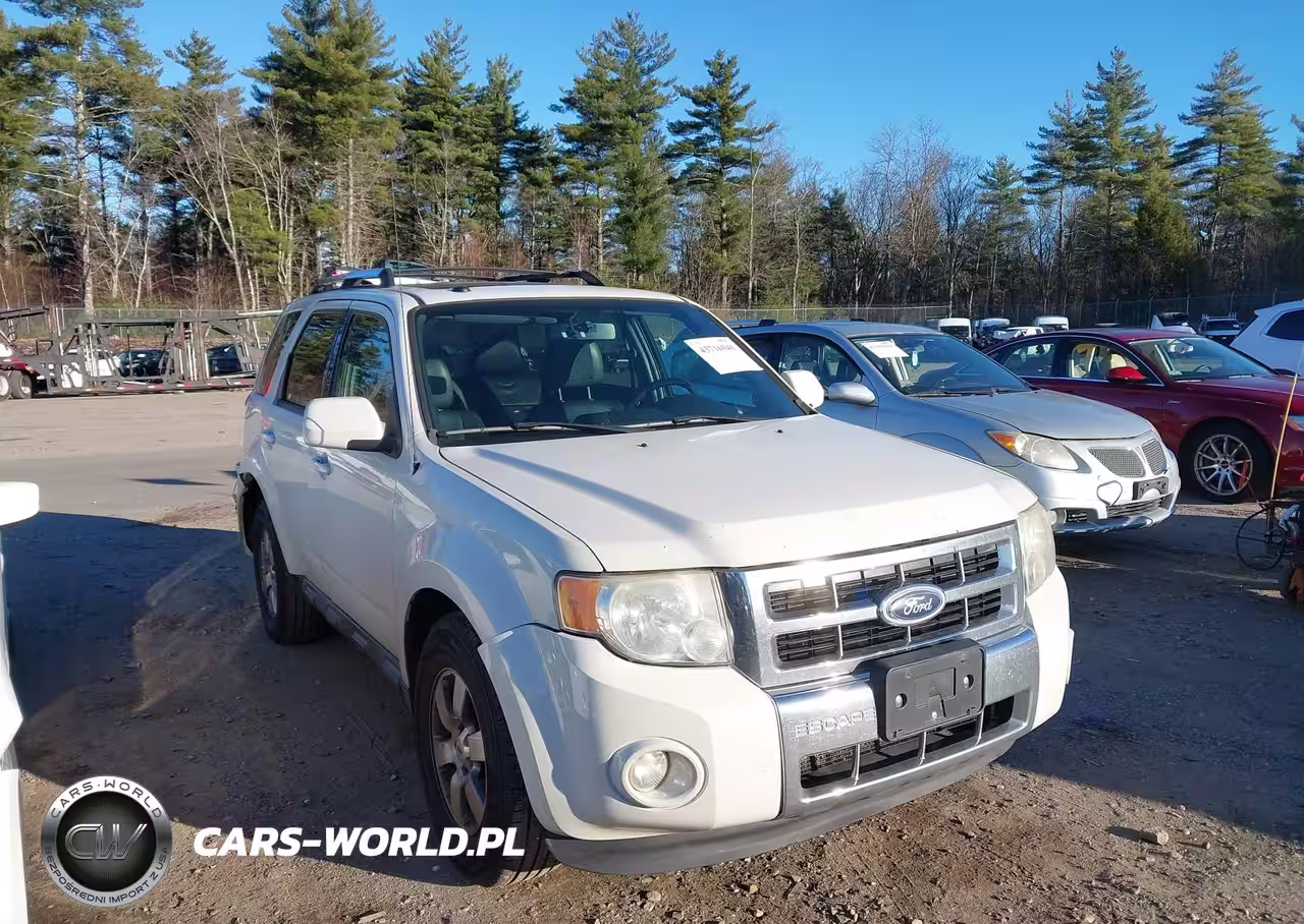2010 Ford Escape Limited