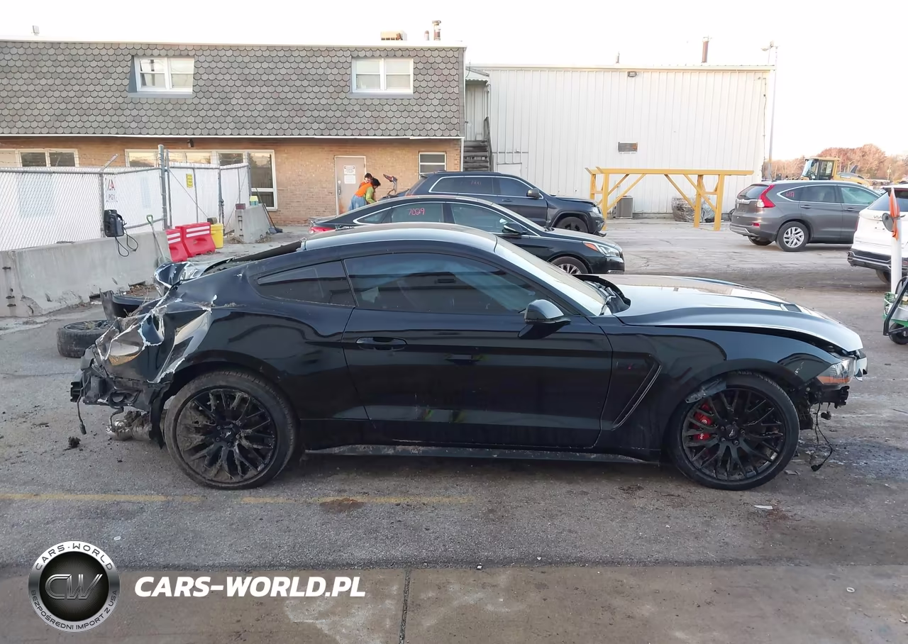 2021 Ford Mustang Gt Premium Fastback VIN:1FA6P8CF9M5157576 - 13