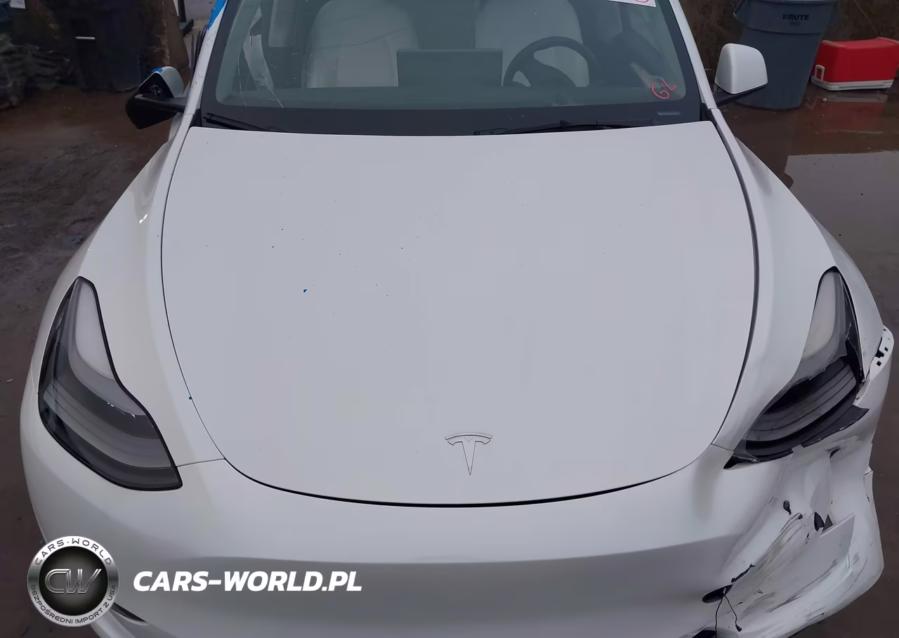 2024 Tesla Model Y Performance Dual Motor All-Wheel Drive VIN:7SAYGDEF1RF052810 - 10