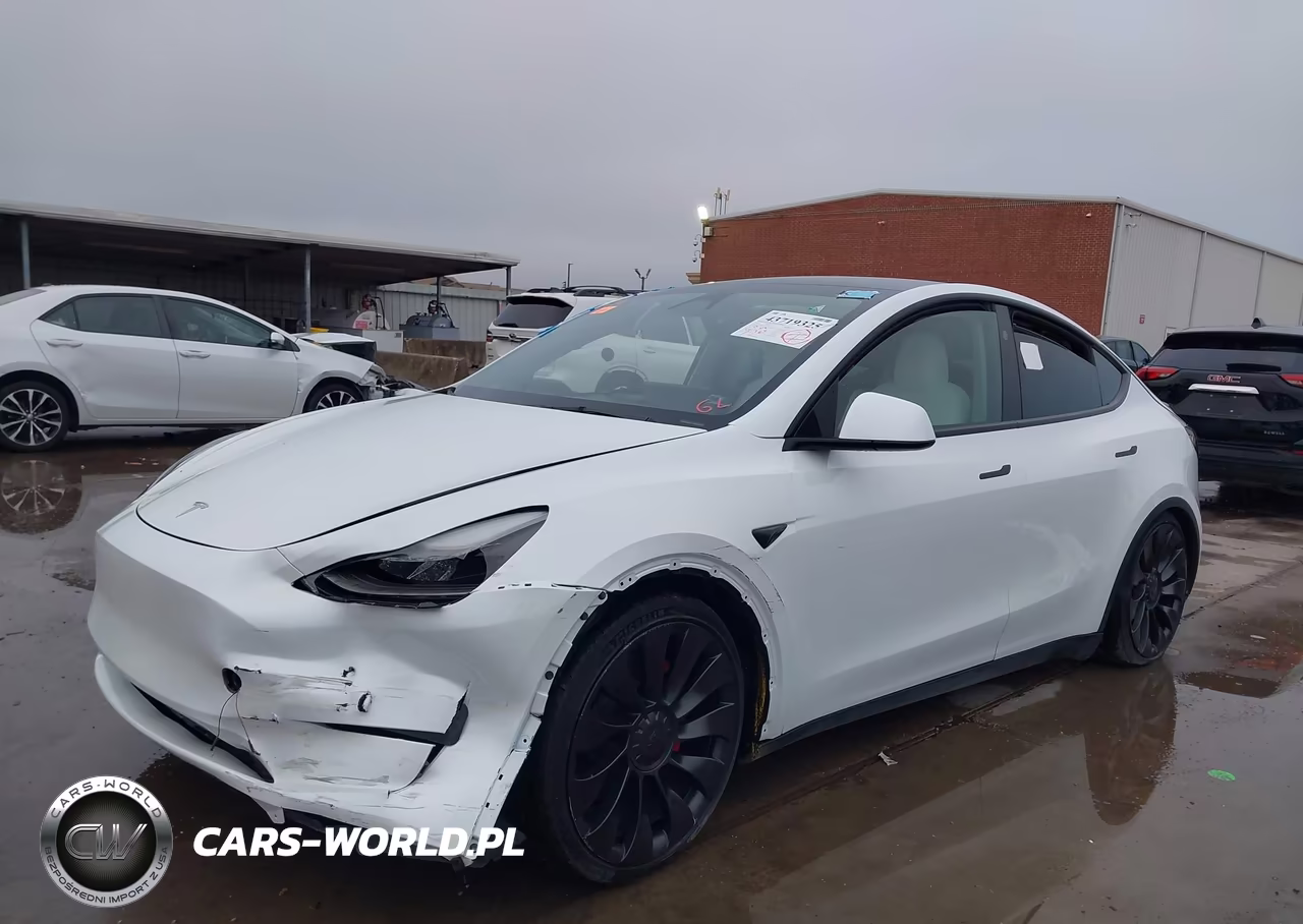 2024 Tesla Model Y Performance Dual Motor All-Wheel Drive VIN:7SAYGDEF1RF052810 - 2
