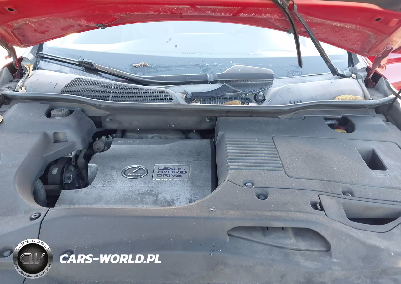 2010 Lexus Rx 450H VIN:JTJZB1BA3A2000154 - 10