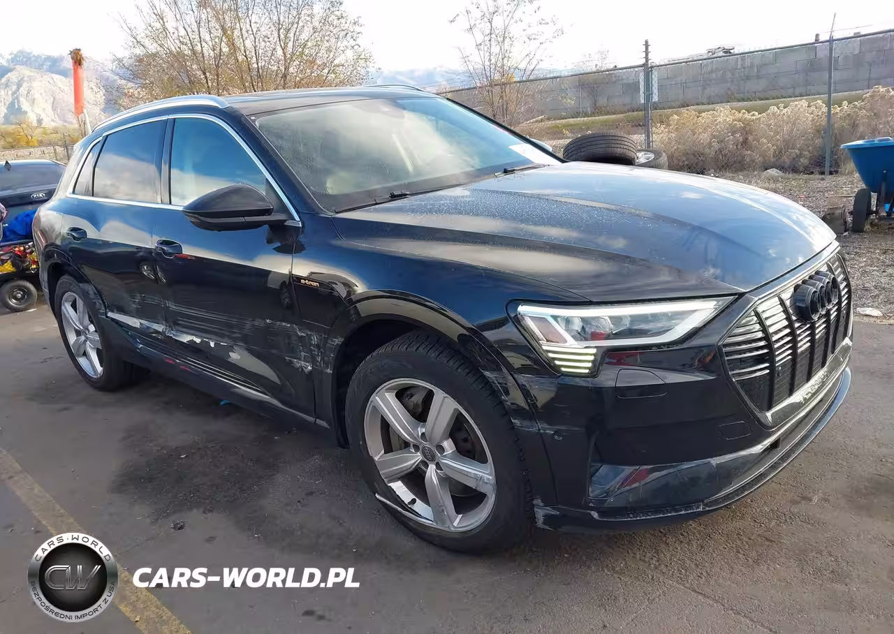 2019 Audi E-Tron Premium Plus