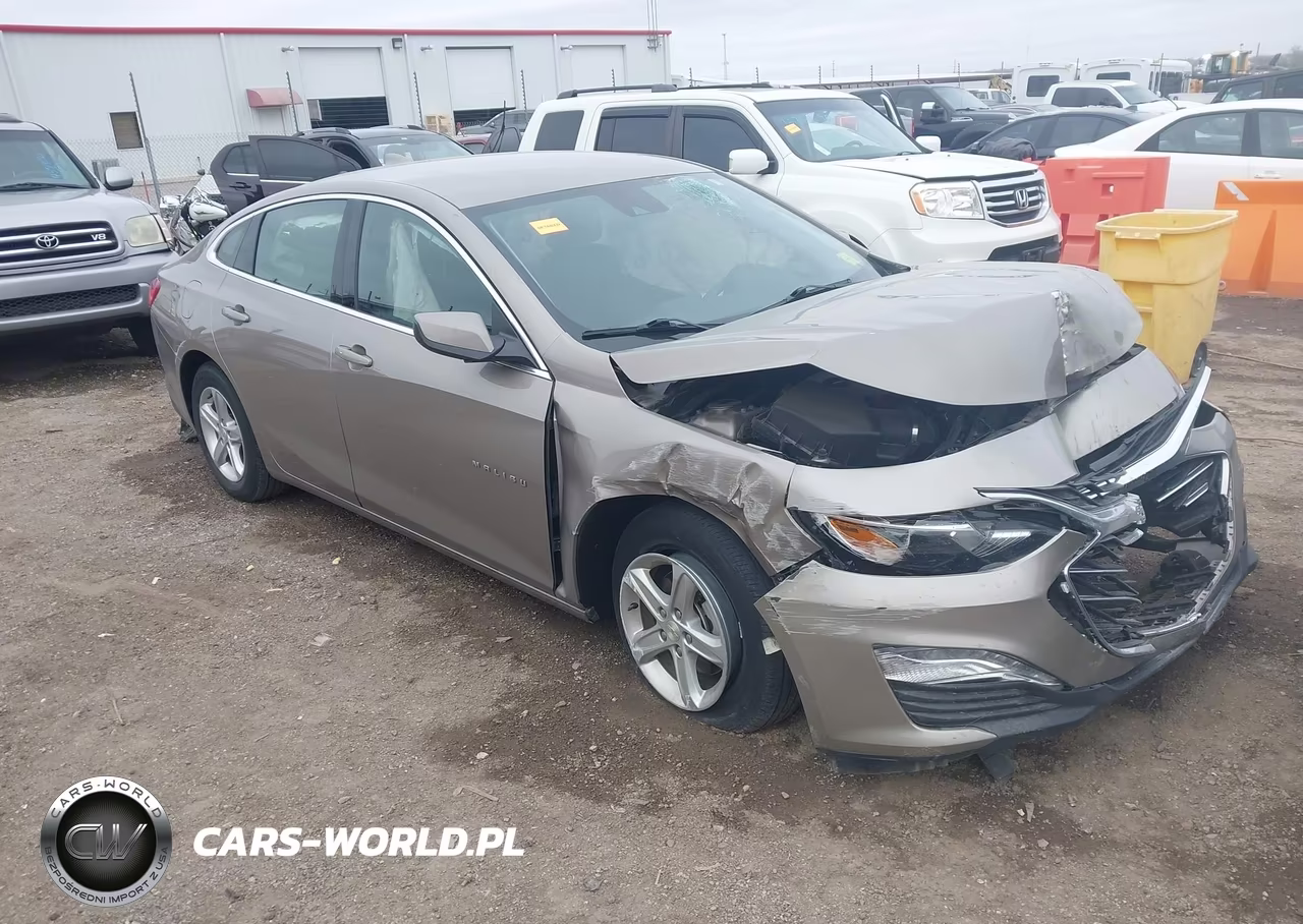 2024 Chevrolet Malibu Fwd 1Lt VIN:1G1ZD5ST7RF163795 - 1