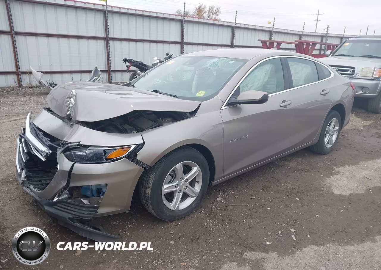 2024 Chevrolet Malibu Fwd 1Lt VIN:1G1ZD5ST7RF163795 - 2