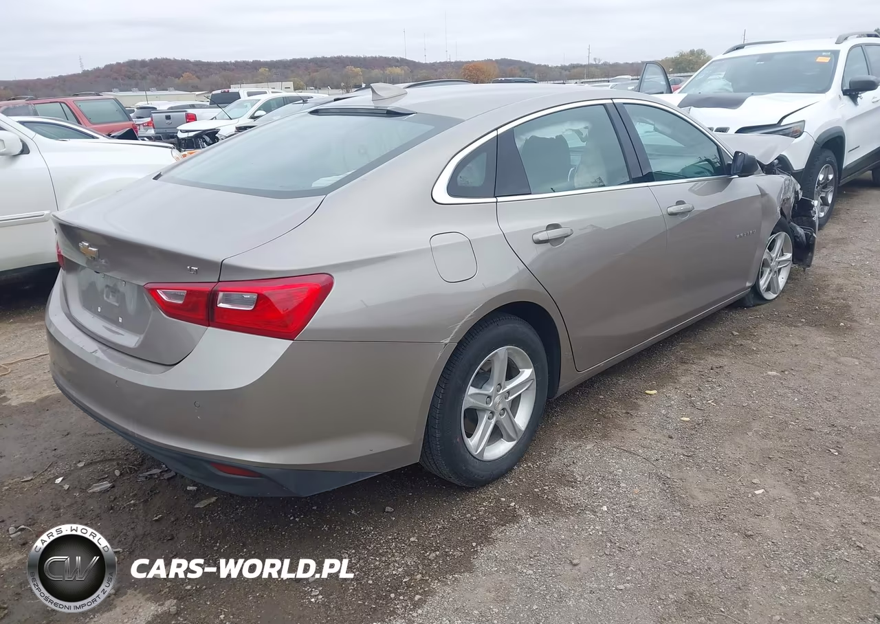 2024 Chevrolet Malibu Fwd 1Lt VIN:1G1ZD5ST7RF163795 - 4