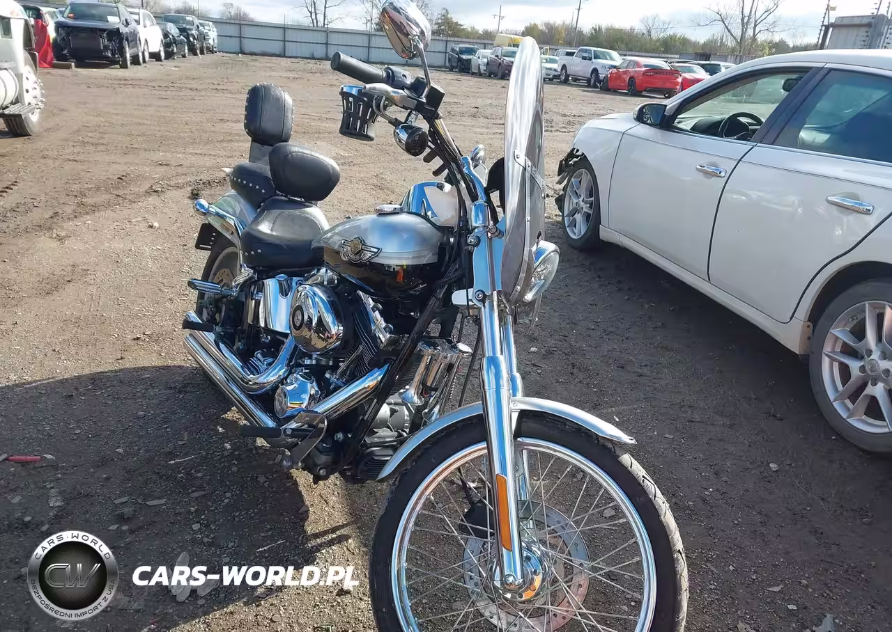 2003 Harley-Davidson Fxstdi Anniversary