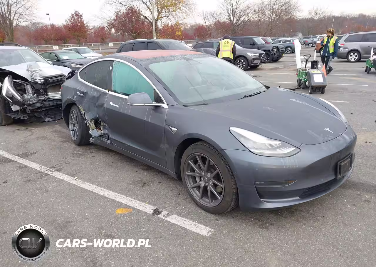 2019 Tesla Model 3 Long Range-Mid Range-Standard Range-Standard Range Plus
