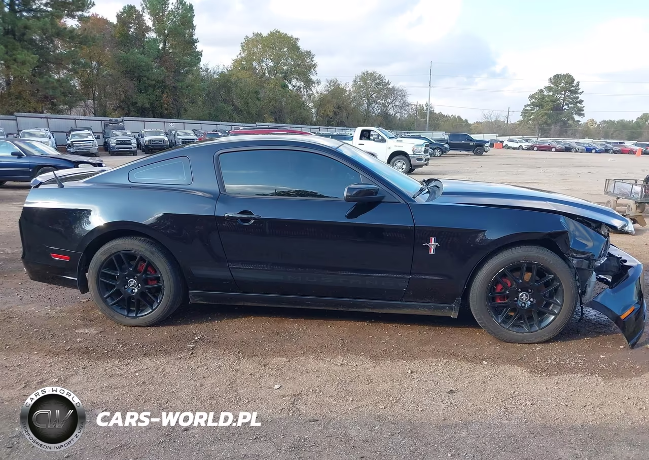 2014 Ford Mustang V6 Premium VIN:1ZVBP8AMXE5256058 - 14