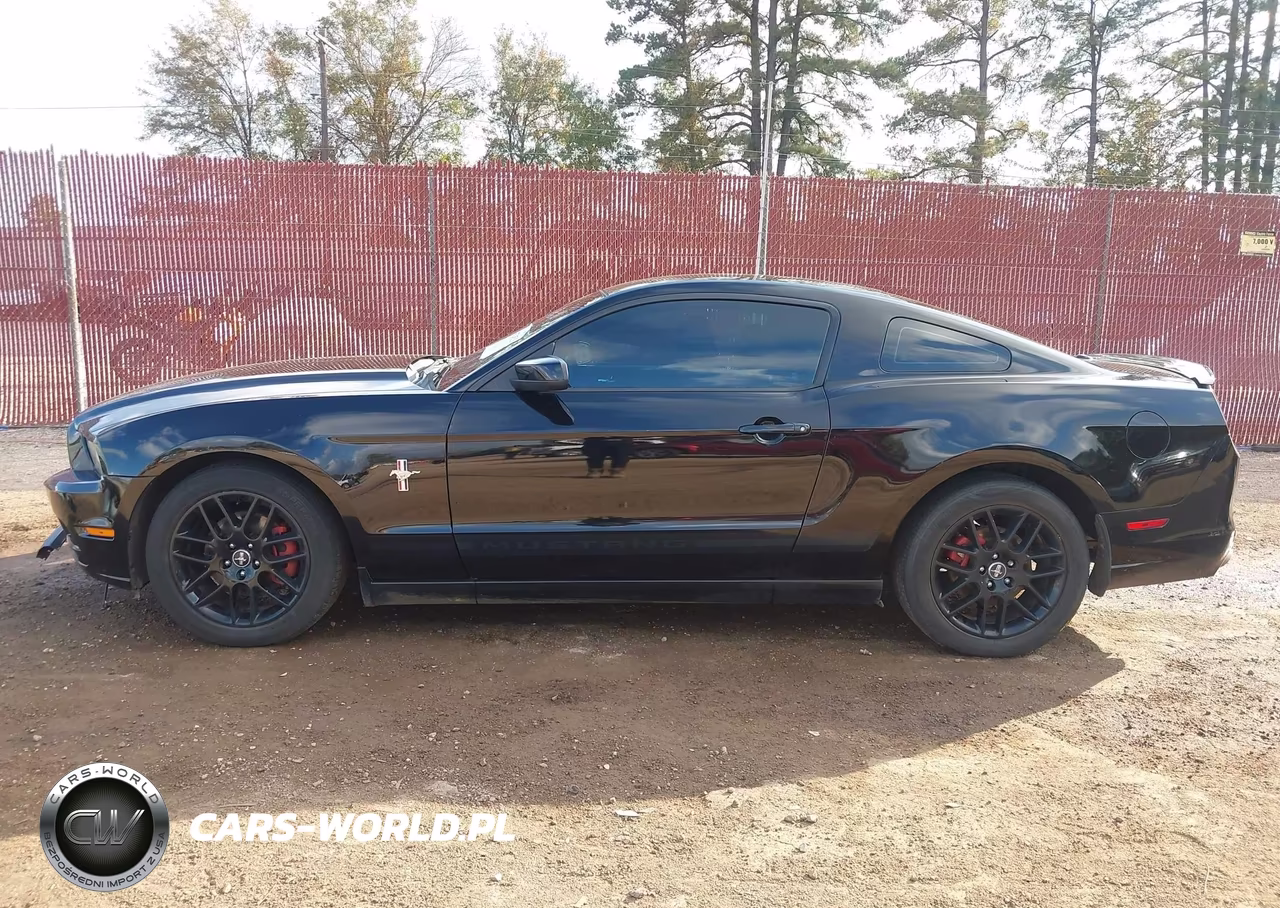 2014 Ford Mustang V6 Premium VIN:1ZVBP8AMXE5256058 - 15