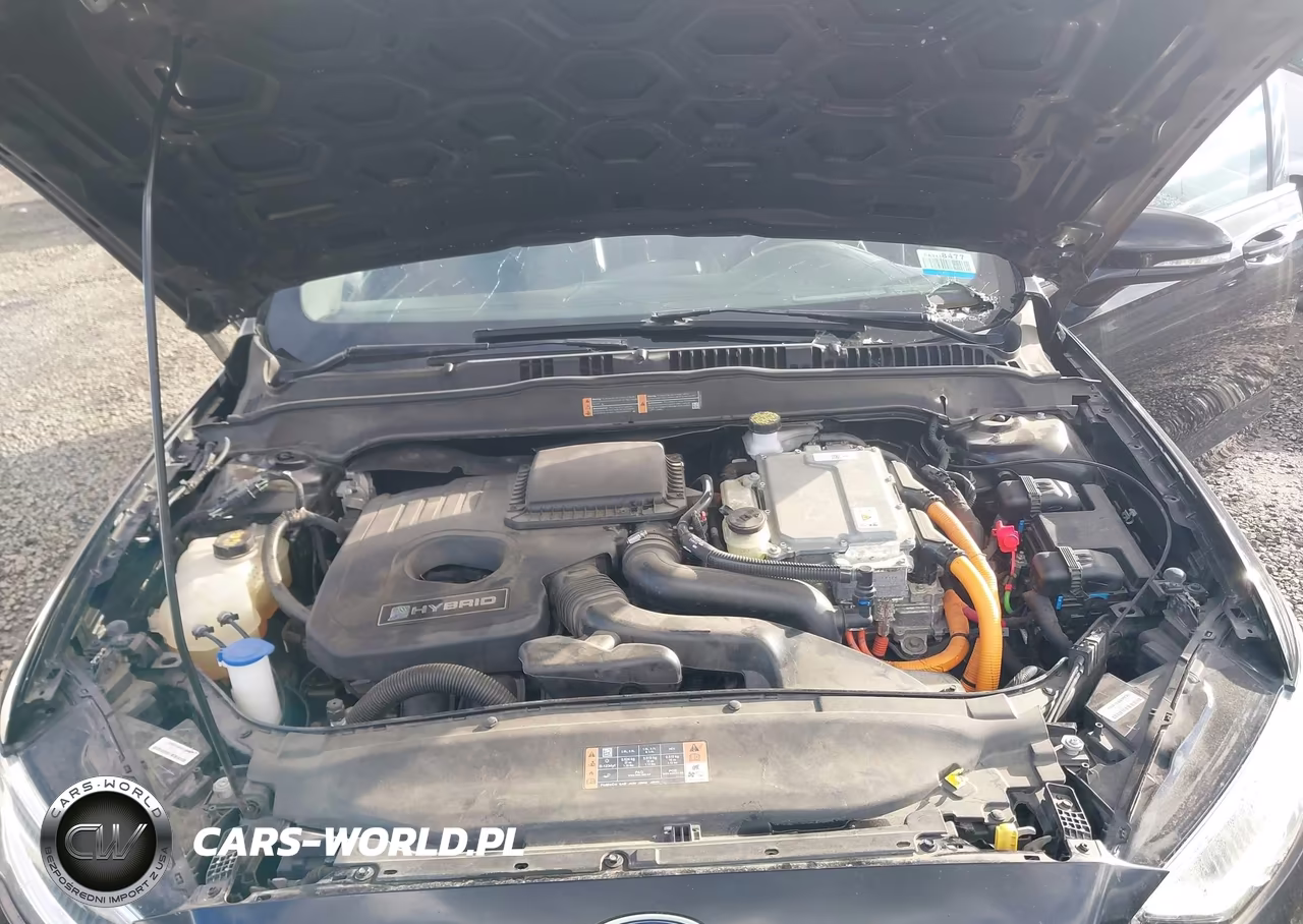 2020 Ford Fusion Hybrid Titanium VIN:3FA6P0RU4LR182405 - 10