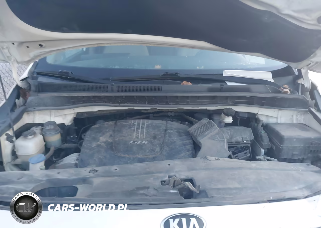 2016 Kia Sedona Lx VIN:KNDMB5C18G6103705 - 10