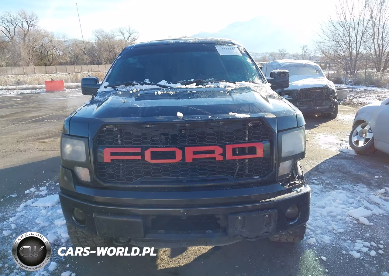 2013 Ford F-150 Xlt VIN:1FTFW1ET9DKD10367 - 12