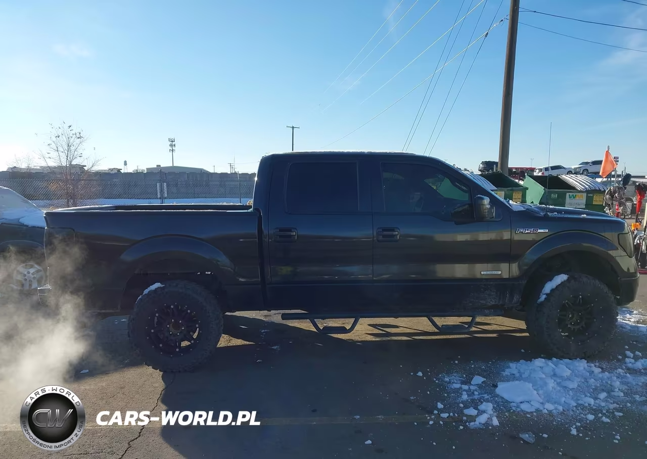 2013 Ford F-150 Xlt VIN:1FTFW1ET9DKD10367 - 13