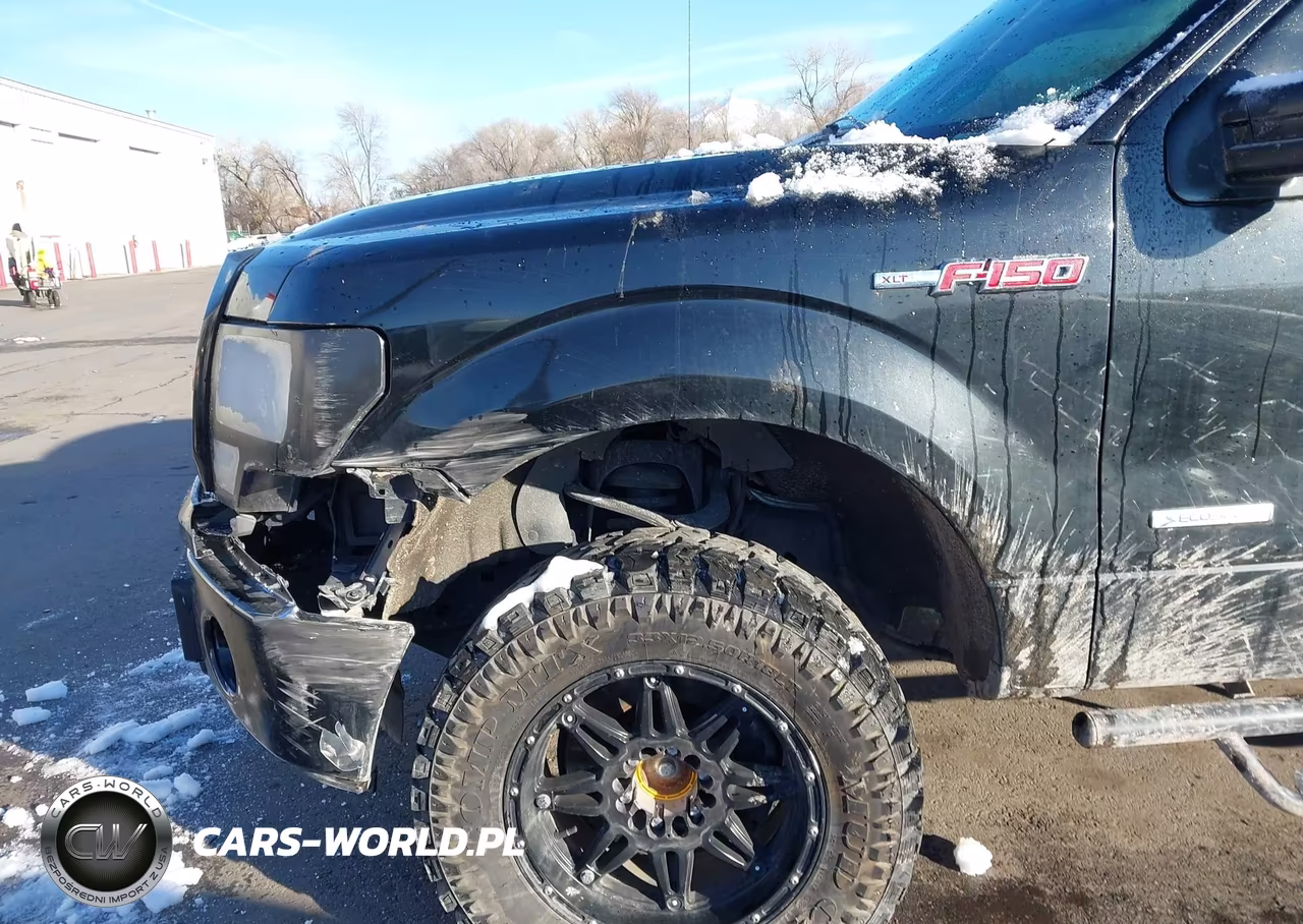 2013 Ford F-150 Xlt VIN:1FTFW1ET9DKD10367 - 18