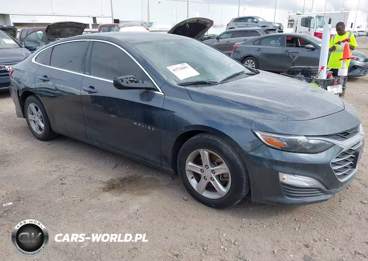 2019 Chevrolet Malibu 1Ls