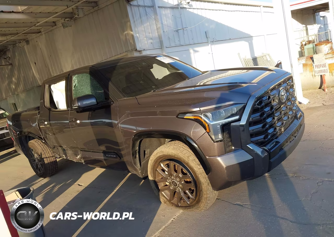 2023 Toyota Tundra Platinum VIN:5TFNA5DB6PX098707 - 13