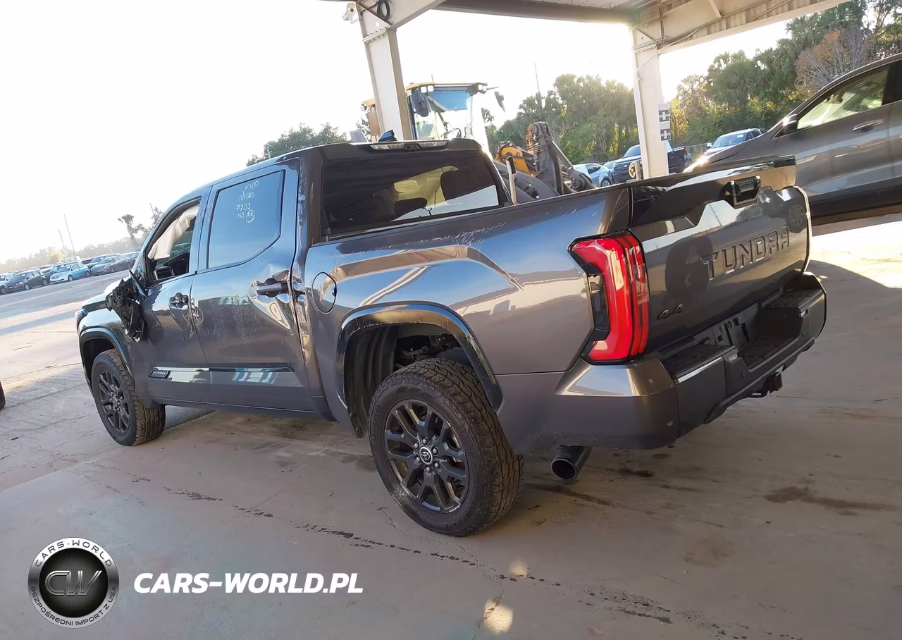 2023 Toyota Tundra Platinum VIN:5TFNA5DB6PX098707 - 14