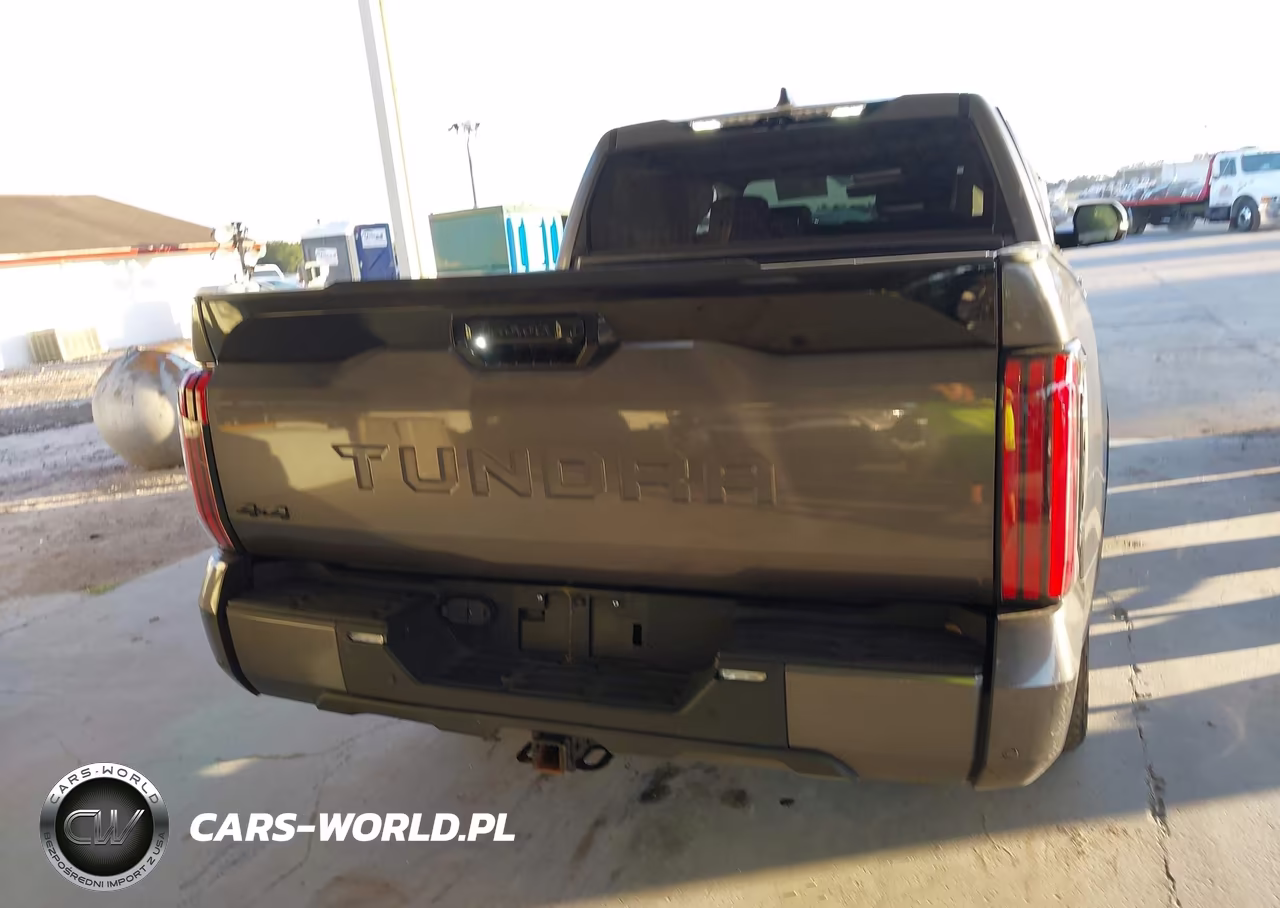 2023 Toyota Tundra Platinum VIN:5TFNA5DB6PX098707 - 16
