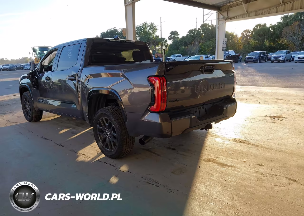 2023 Toyota Tundra Platinum VIN:5TFNA5DB6PX098707 - 3