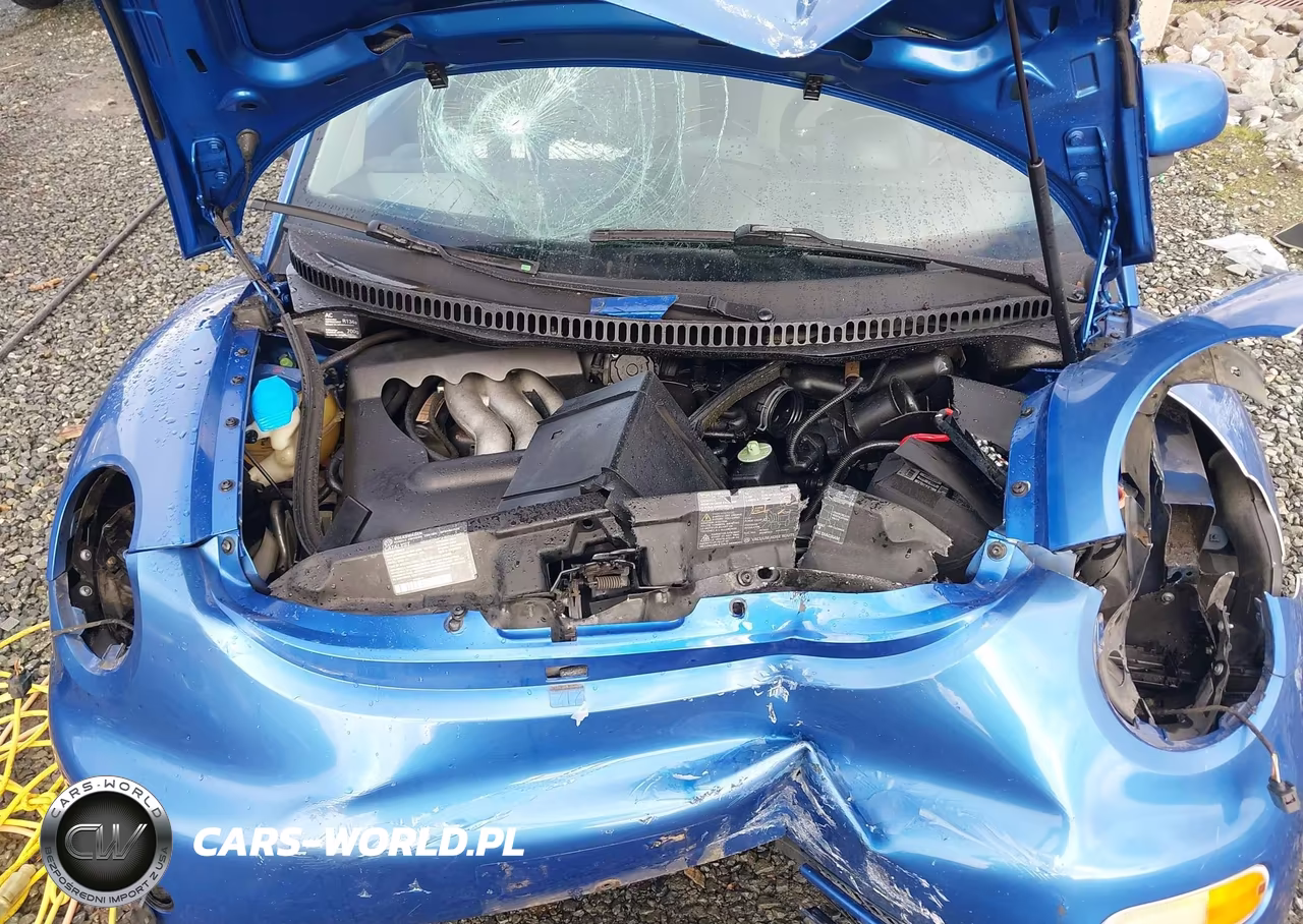 2000 Volkswagen New Beetle Gl VIN:3VWBC21C1YM413054 - 10